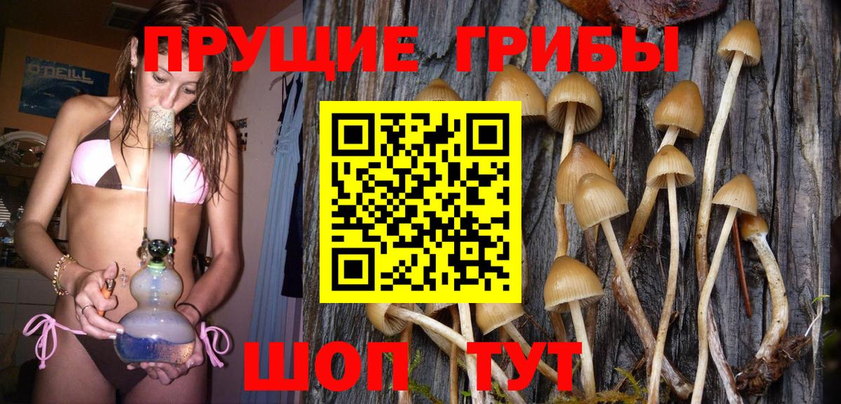 Псилоцибиновые грибы мицелий Сухой Лог