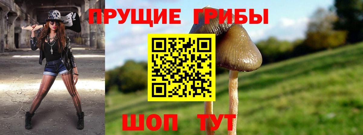 Галлюциногенные грибы Psilocybine cubensis  Псилоцибиновые грибы MAGIC MUSHROOMS  Вход с VPN  Сухой Лог 